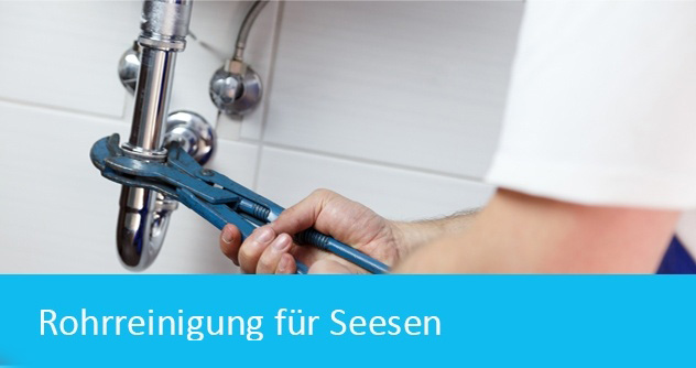 Rohrreinigung für Seesen